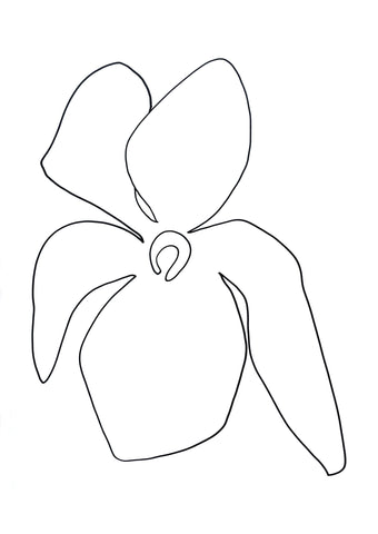 Botanical Ink Drawing 02